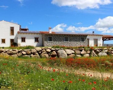 Tenute Testoni Agriturismo E B&B Bassacutena Екстер'єр фото