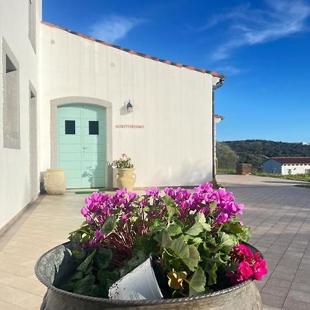 Tenute Testoni Agriturismo E B&B Bassacutena Екстер'єр фото
