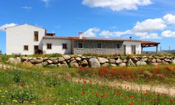 Tenute Testoni Agriturismo E B&B Bassacutena Екстер'єр фото
