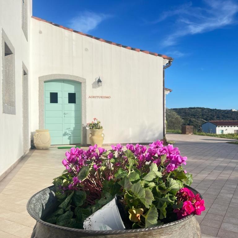 Tenute Testoni Agriturismo E B&B Bassacutena Екстер'єр фото